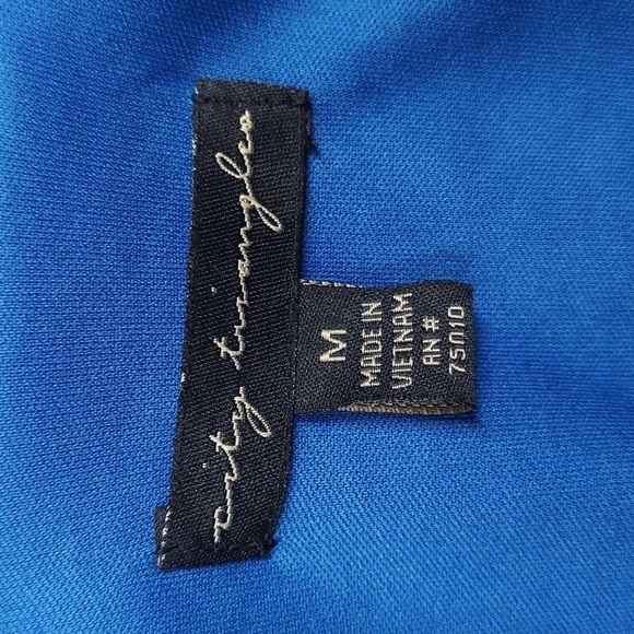 City Triangles Royal Blue Dress With Pockets Size M - Picture 6 of 12